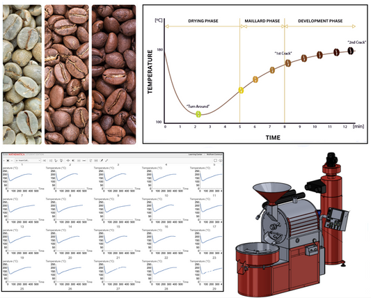 Roasting Guide 101: The Art and Science Behind Great Coffee
