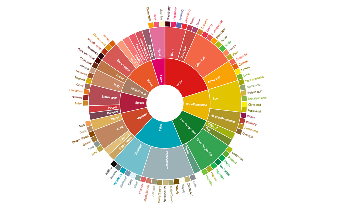 Exploring Coffee Tasting: The SCA Flavor Wheel and Cupping Protocol